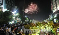 Vietnamesen begrüßen landesweit das Neujahr des Affen