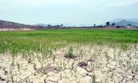 USA und Vietnam geben gemeinsame Erklärung gegen Klimawandel ab