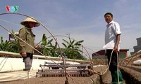 Bauern in Ho Chi Minh Stadt engagieren sich für wissenschaftlich- technologische Innovation