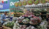 Platz für vietnamesisches Obst auf internationalem Markt schaffen