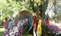 Blumenfestival zum Frühling in Ho Chi Minh Stadt