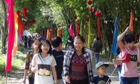 Ca Mau und Sapa empfangen viele Touristen zum Neujahr