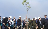 Staatspräsident Tran Dai Quang startet das Baumpflanzfest 2017 in Quang Ninh