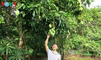 Verbesserung der Werte der Obst-Spezialitäten Vietnams