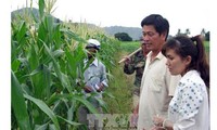 APEC bevorzugt Lebensmittelsicherheit und Landwirtschaft bei Klimawandel