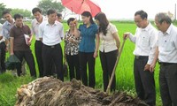     Doktor Lê Văn Tri – Wissenschaftler für die Bauern