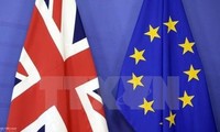 Brexit: Großbritannien richtet sich nicht nach Aussicht, dass das Land keine Vereinbarung mit der EU