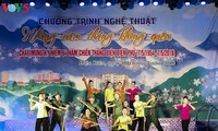 64. Jahrestag des Sieges in Dien Bien Phu gefeiert