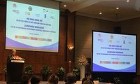 Das Zielpaket zur nachhaltigen Entwicklung Vietnams aufgebaut