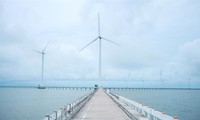 Niederlande teilen Erfahrungen in der Entwicklung von Offshore-Windkraft mit Vietnam