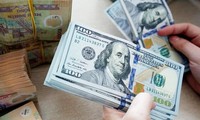 Reaktion der Staatsbank auf Aufnahme Vietnams in die Liste der Währungsmanipulatoren durch USA