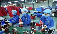 EVFTA und Potentiale vietnamesischer Unternehmen