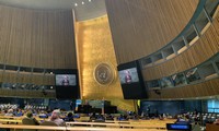 Vietnam wird zum Vizevorsitzenden der UN-Vollversammlung gewählt