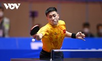 Anh Tu gewinnt die einzige Medaille für Vietnam bei Tischtennis-Südostasienmeisterschaft