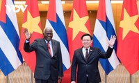 Solidarität und Freundschaft zwischen Vietnam und Kuba verstärken