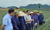 Premierminister Pham Minh Chinh besucht Ninh Binh