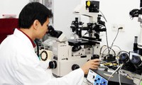 Vietnam dan Indonesia bertukar tentang pengalaman mengembangkan sains teknologi