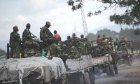 Mengesahkan Resolusi melakukan intervensi militer terhadap Republik Demokrasi Kongo