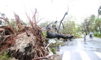 Vietnam Tengah berfokus pada mengatasi akibat taufan Nari