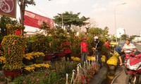 Pasar Bunga Hari Raya Tet di kota Ho Chi Minh dibuka