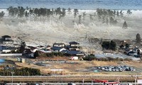 Regenerasi di kawasan bumi mati setelah tiga tahun terjadinya musibah gempa bumi dan tsunami di Jepang
