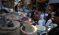 Mesir membentuk zona perdagangan bebas dengan Persekutuan Beacukai Rusia-Belarus-Kazakhstan