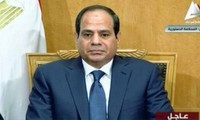 Uni Afrika memulihkan keanggotaan Mesir