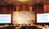 Melakukan persiapan untuk Konferensi ke-6 Menteri APEC tentang Pengembangan Sumber Daya Manusia