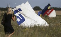 Mencapai permufakatan yang menjamin keselamatan para pakar dalam mendekati tempat kejadian jatuhnya pesawat terbang MH17