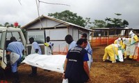 WHO membenarkan ada kira-kira 930 orang yang meninggal akibat wabah Ebola