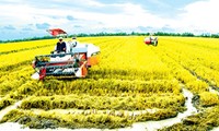 Republik Korea berbagi teknologi dalam produksi pertanian dengan Vietnam