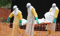 PBB mengadakan pertemuan puncak tentang wabah Ebola