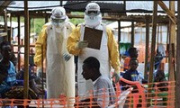 Kementerian Kesehatan Vietnam memeriksa proses pencegahan wabah Ebola