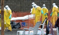 Jumlah orang meninggal akibat wabah Ebola mencapai 4.500 orang