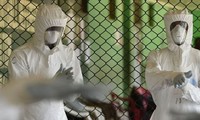 WHO: jumlah orang meninggal akibat virus Ebola melampaui 5.000 orang