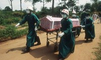 WHO: Siera Leone melampaui Liberia tentang jumlah pengidap virus Ebola