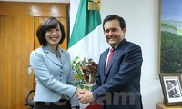 Meksiko akan cepat mendorong pembentukan Komite gabungan tentang perdagangan dan industri antara Vietnam dan Meksiko