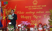 Komunitas orang Vietnam di beberapa negara di dunia mengadakan program menyambut Hari Raya Tet 2015