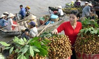 Menyelesaikan Proyek mengkonektivitaskan produk-produk pokok di daerah dataran rendah sungai Mekong