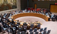 Dewan Keamanan PBB menyusun rancangan resolusi yang mendukung pasukan koalisi penentang Boko Haram