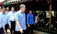 Ketua Front Tanah Air Vietnam, Nguyen Thien Nhan mengunjungi pola-pola koperasi tipikal di provinsi Vinh Long