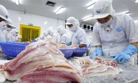 Simposium tentang ekspor ikan tak bersisik yang berkesinambungan dari Vietnam ke Uni Eropa