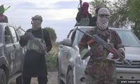 Boko Haram membunuh 30 warga sipil di Niger