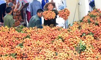 “Hari buah leci Vietnam” di Australia