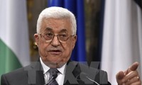 Palestina memberikan reaksi tentang langkah-langkah keamanan yang dikenakan Israel