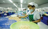 Badan usaha kota Ho Chi Minh menuju ke pasar AS dan Amerika Latin