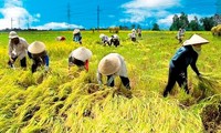  Kanada membantu Vietnam mengembangkan ekonomi pertanian