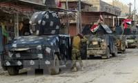 IS berangsur-angsur kehilangan kawasan kontrol di Irak dan Suriah