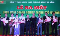 Unjuk muka Perusahaan Tanggung Jawab Terbatas Investasi dan Bantuan dalam memulai usaha kota Da Nang