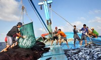 Vietnam dan Thailand memperkuat kerjasama untuk menanggulangi penangkapan ikan ilegal